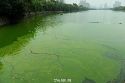 珍愛生命之水 聚焦水污染與治理，守護藍色家園